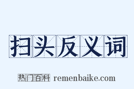 扫头反义词是什么意思的图片